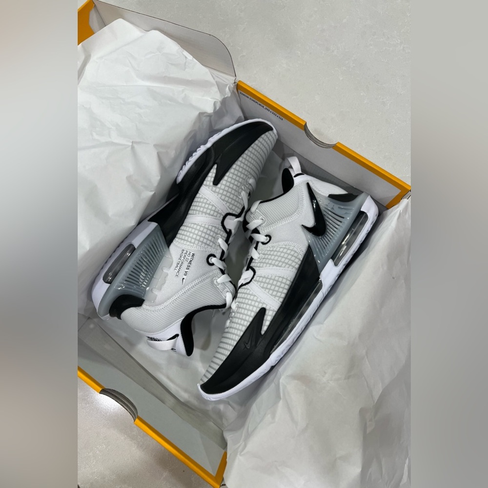 Nike Lebron Witness VII TB Brand new-in box